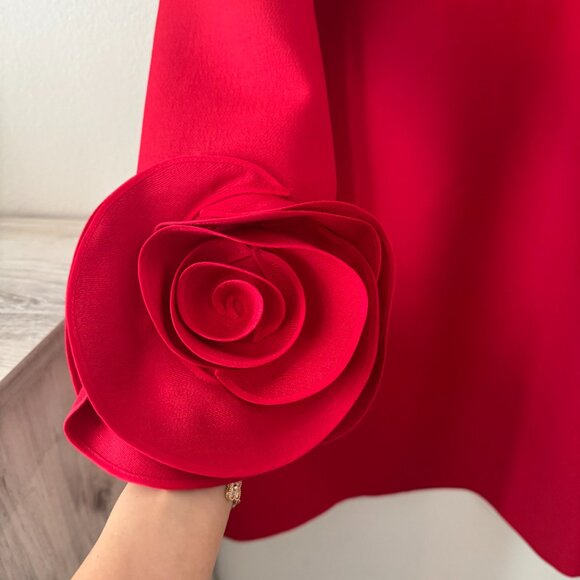 Red Valentino Couture Dress - Picture 4 of 6